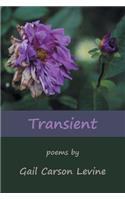 Transient