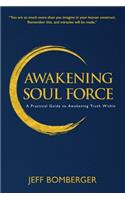 Awakening Soul Force