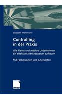 Controlling in der Praxis: Wie kleine und mittlere Unternehmen ein effektives Berichtswesen aufbauen Mit Fallbeispielen und Checklisten(German)