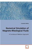 Numerical Simulation of Magneto-Rheological Fluids
