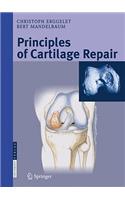Principles of Cartilage Repair