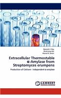 Extracellular Thermostable α-Amylase from Streptomyces erumpens