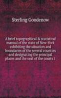 brief topographical and statistical manual of the state of New-York exhibiting the situation and boundaries of the several counties and designating the principal places and the seat of the courts 1