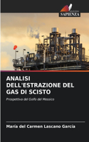 Analisi Dell'estrazione del Gas Di Scisto