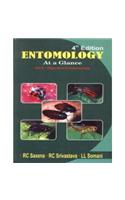 Entomology At A Glance (Volume II: Objective Fundamentals)