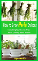 How to Grow Herbs Indoors