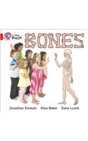 Bones