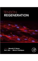 Tendon Regeneration