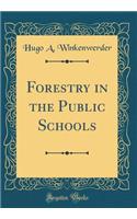 Forestry in the Public Schools (Classic Reprint)