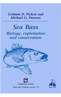Sea Bass