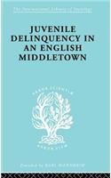 Juvenile Delinquency in an English Middle Town