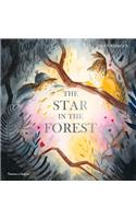 The Star in the Forest