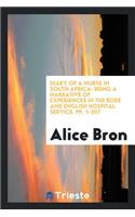 Diary of a Nurse in South Africa: Being a Narrative of Experiences in the Boer and English ...