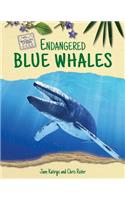 Endangered Blue Whales