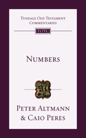 Numbers - An Introduction and Commentary