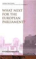 What Next for the European Parliament?