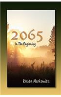 2065 in the Beginning