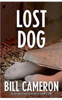 Lost Dog