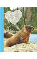 Cute Colorado Rocky Mountain Marmot Composition Wide-ruled line School Notebook Sandy Closs