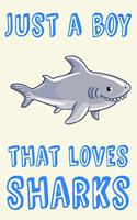 Just A Boy That Loves Sharks