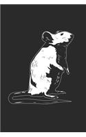 Mouse Drawing