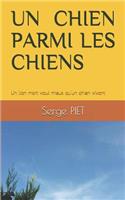 Un Chien Parmi Les Chiens: Un lion mort vaut mieux qu'un chien vivant