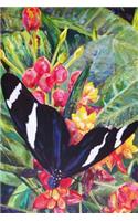 Butterfly Journal