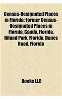 Census-Designated Places in Florida: Former Census-Designated Places in Florida, Gandy, Florida, Hiland Park, Florida, Dunes Road, Florida(English)