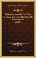 Tubicolous Annelids Of Tribes Sabellides And Serpulides From The Pacific Ocean (1905)