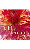 Dahlia Dreams 2017