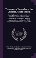 Treatment of Juveniles in the Criminal Justice System