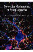 Molecular Mechanisms of Synaptogenesis