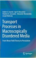 Transport Processes in Macroscopically Disordered Media