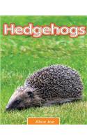 Hedgehogs