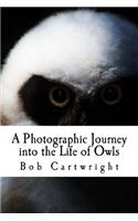 A Photographic Journey Into the Life of Owls
