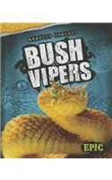 Bush Vipers