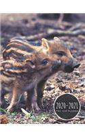 2020-2021 Two Year Planner: Baby Pig Planner January 1, 2020 to December 31, 2021 Weekly & Monthly Planner + Calendar Views 2 Year Calendar 24 Month Agenda Planner Gift For Pig