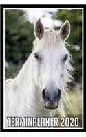 Terminplaner 2020