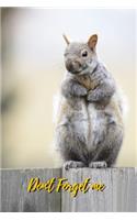 Don't Forget Me: Fat Gray Squirrel.Internet Password Logbook with alphabetical tabs.Personal Address of websites, usernames, passwords notebook/Journal/Organizer/Kee