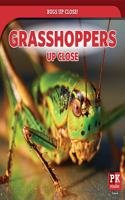 Grasshoppers Up Close: (Bugs Up Close!)