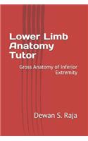 Lower Limb Anatomy Tutor