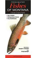 Freshwater Fishes of Montana: A Guide to Game Fishes