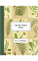 Vintage Prints: Ferns