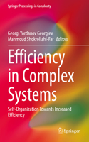 Efficiency in Complex Systems: Self-Organization Towards Increased Efficiency(Springer Proceedings in Complexity)