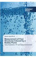 Measurement of Flow Structures Induced by a Bubbly Plume