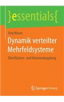 Dynamik Verteilter Mehrfeldsysteme