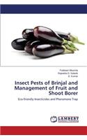 Insect Pests of Brinjal and Management of Fruit and Shoot Borer