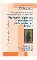 Professionalisierung in sozialen und pädagogischen Feldern