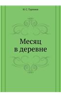 Mesyats V Derevne: (Russian)