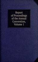 Report of Proceedings of the Annual Convention, Volume 1